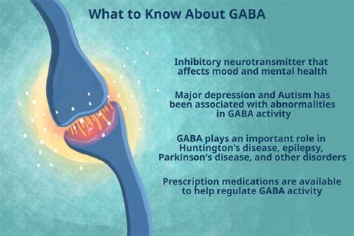 What does GABA do for your body?