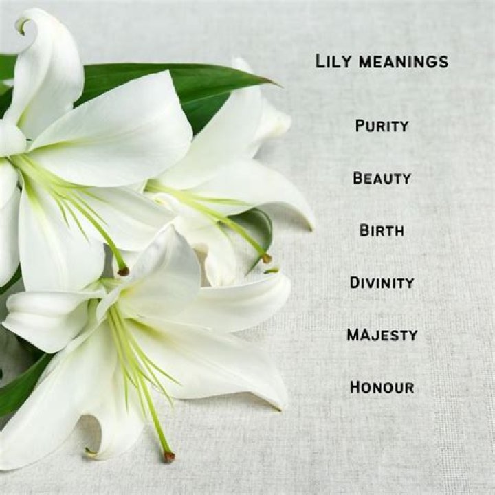 What does the name Lily symbolize