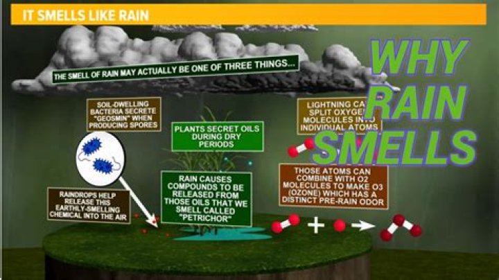 What does Tussy smell like?