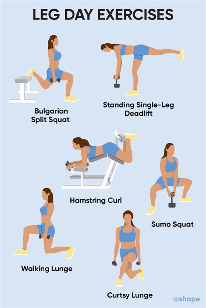 What exercises make your legs more muscular?