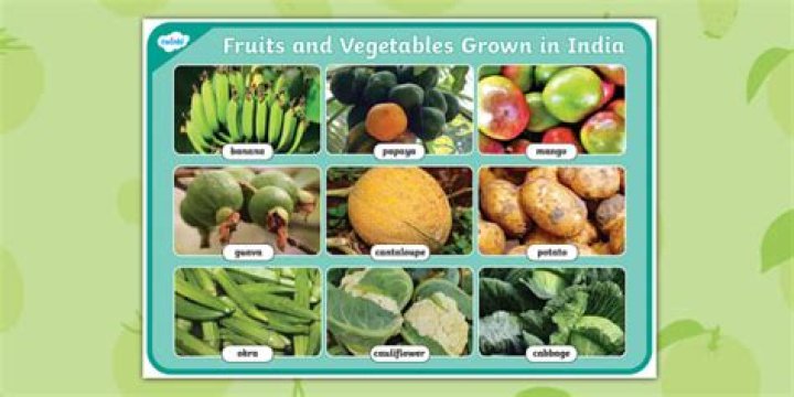What fruits and vegetables are grown in Turkey?