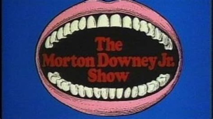 What happened to the Morton Downey Jr show?