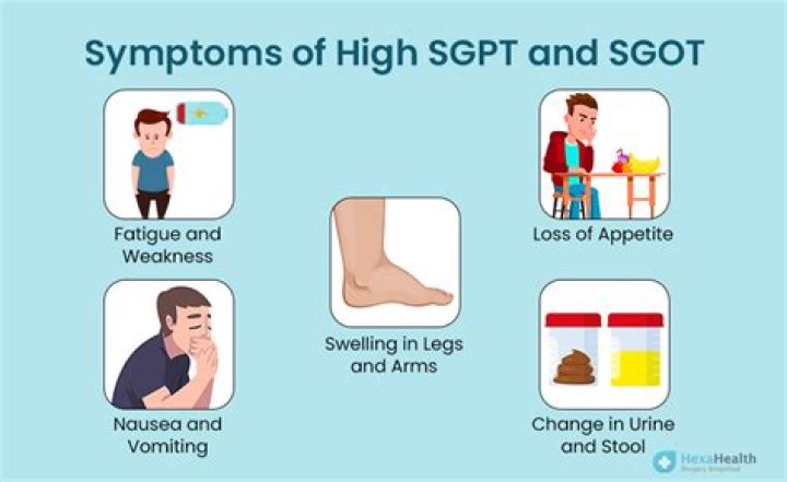 What happens if SGPT and SGOT is high?
