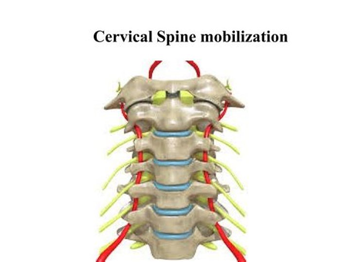What is a cervical spine mobilization?