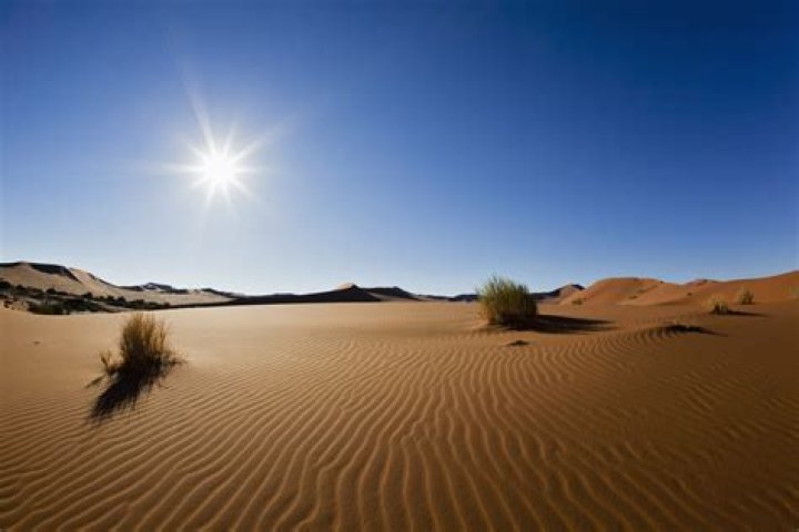What is a famous desert in Argentina?