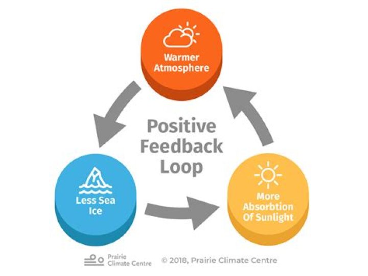 What is a positive feedback loop in climate change