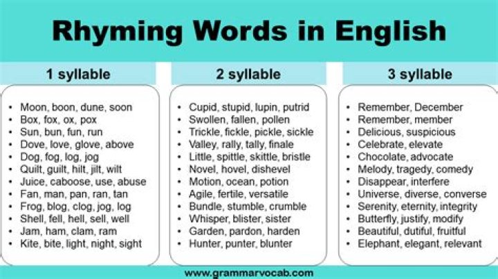 What is a rhyming word for skin?