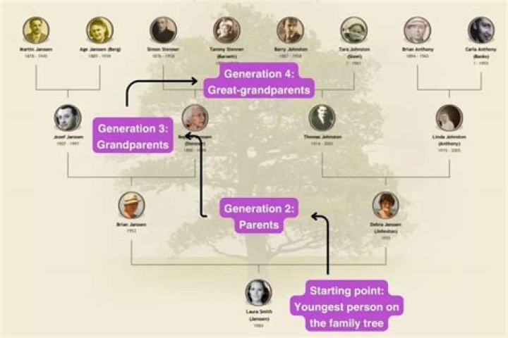 What is a world family tree?