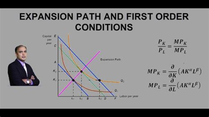 What is an expansion path in economics?