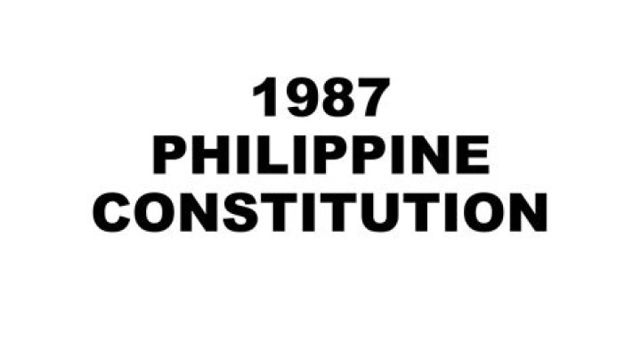 What is Article 14 of the 1987 Philippine Constitution all about?