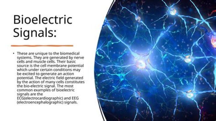 What is bioelectric signal?
