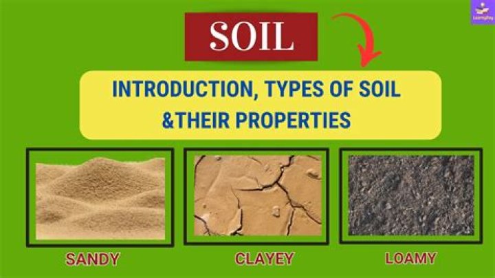 What is clay rich soil