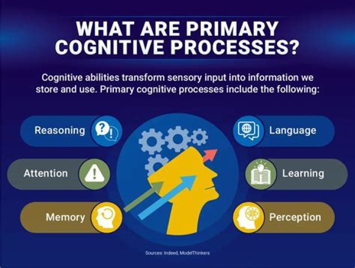 What is cognitive information processing theory?
