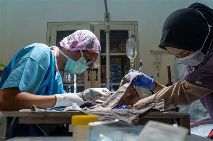 What is Cystotomy surgery