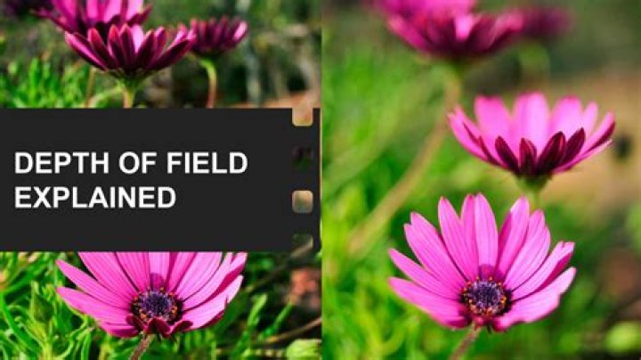 What is depth of field in Photoshop?