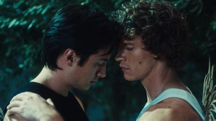 What is Ember software?