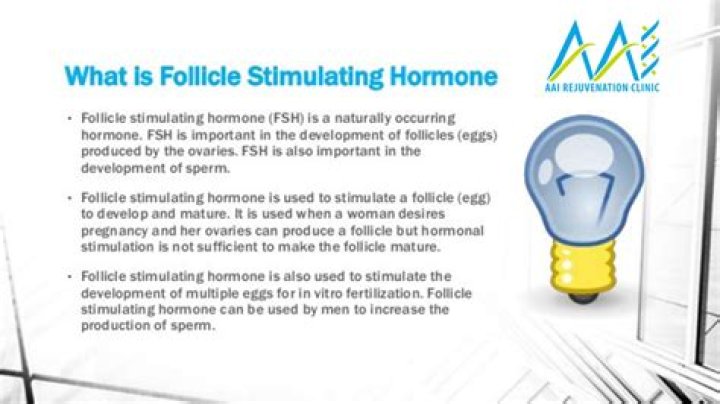 What is follicle stimulating hormone test