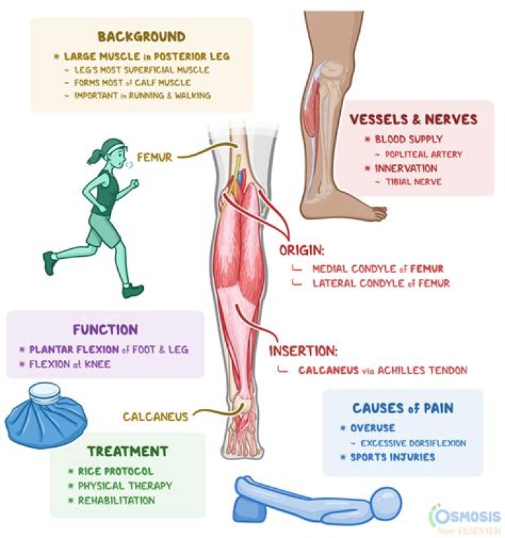 What is Gastroc soleus recession?
