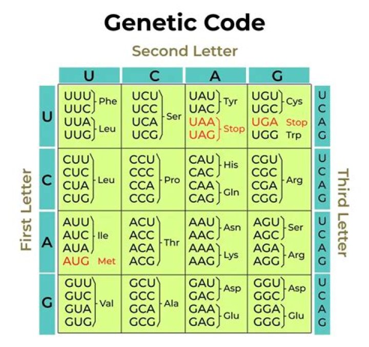 What is genetic code and its properties