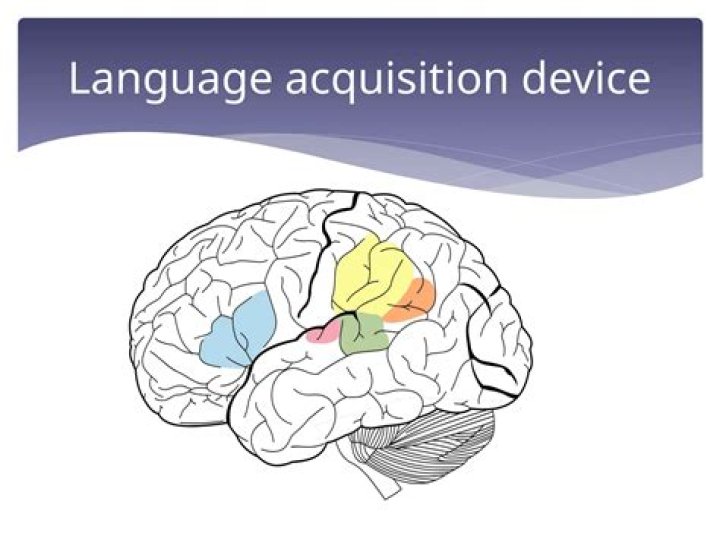 What is Language Acquisition through Motor Planning