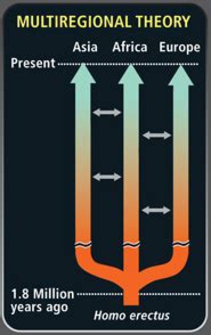 What is multiregional theory?