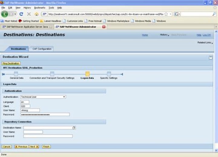 What is program ID in RFC destination?