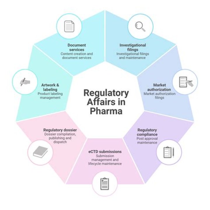 What is regulatory in a company?