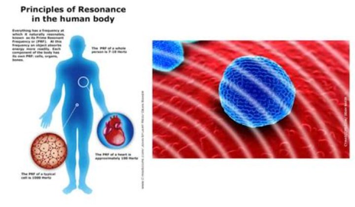 What is resonance in the body?