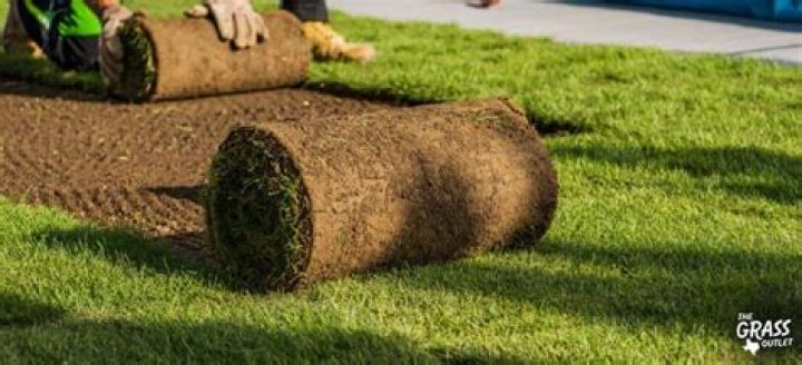 What is sod grading?