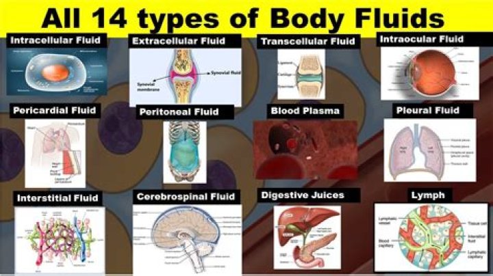 What is taking in fluids so your body can function properly?
