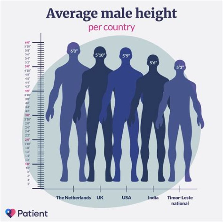 What is the average height of a Caucasian American male?