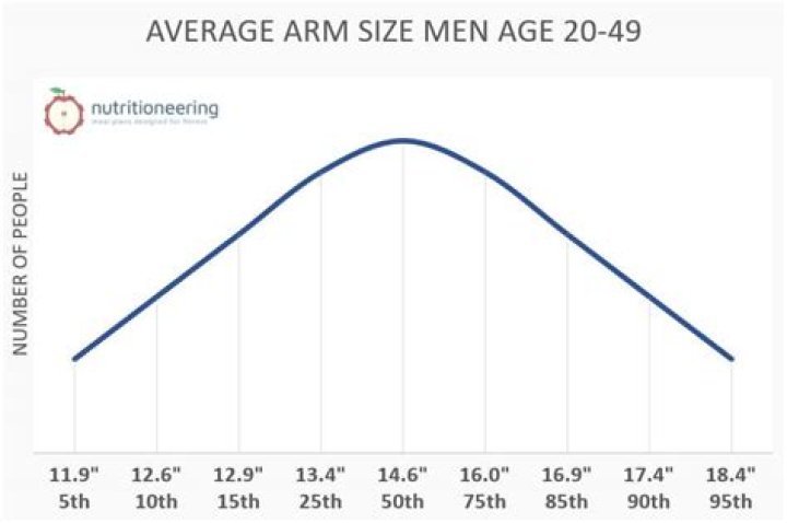 What is the average size of a 20 year old male?