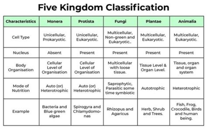 What is the basis of two kingdom classification?