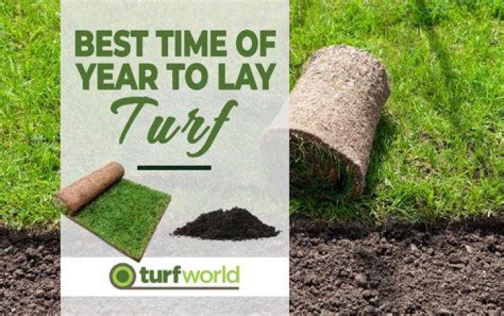 What is the best time of year to transplant bushes