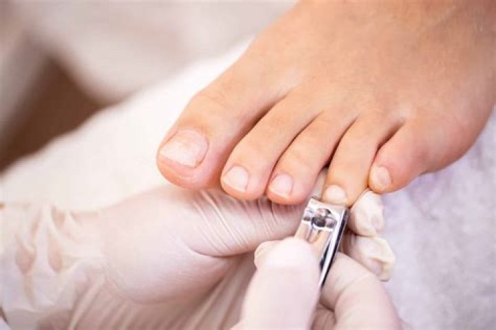 What is the best tool to cut toenails?