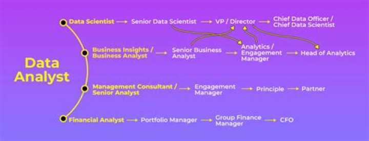 What is the career path for a Data Analyst?