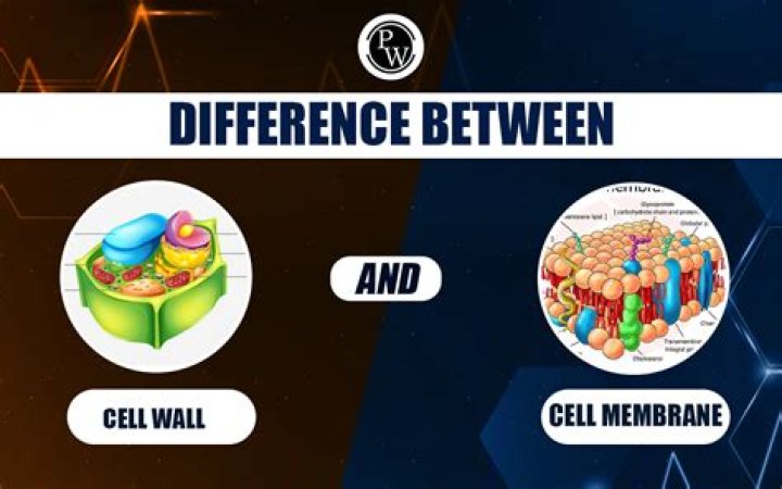 What is the difference between cell-tech and nitro tech?