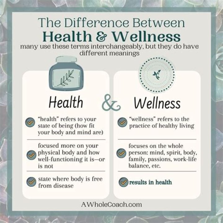 What is the difference between health and wellness quizlet?