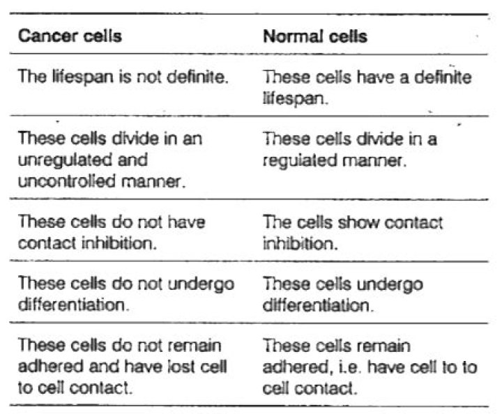 What is the difference between normal and cancer cells
