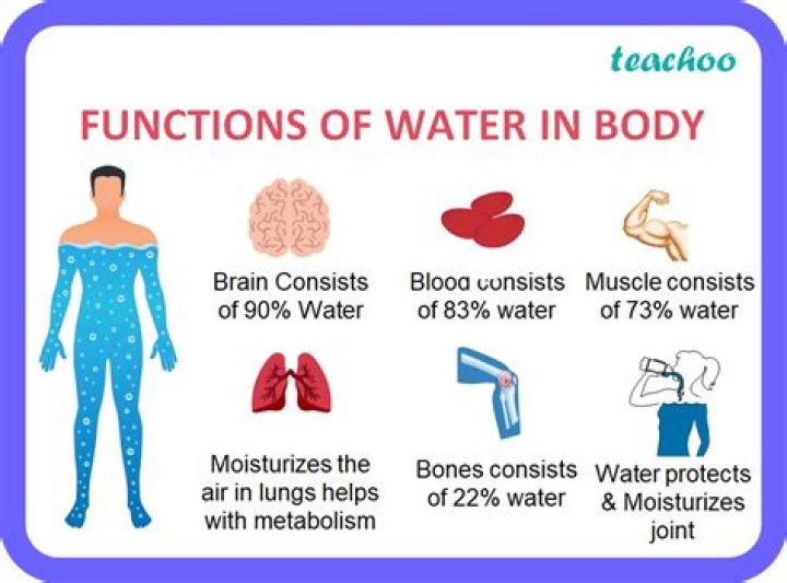 What is the function of stage?
