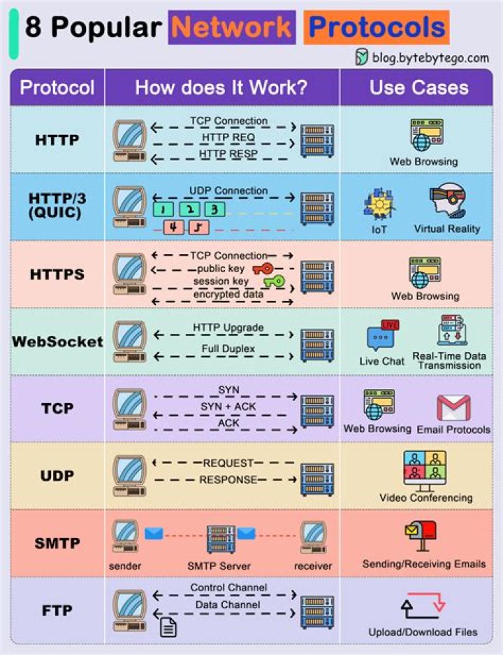 What is the Hoxsey protocol?