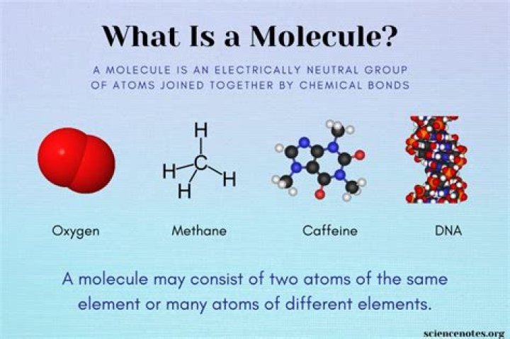 What is the mass of one molecule of a substance?