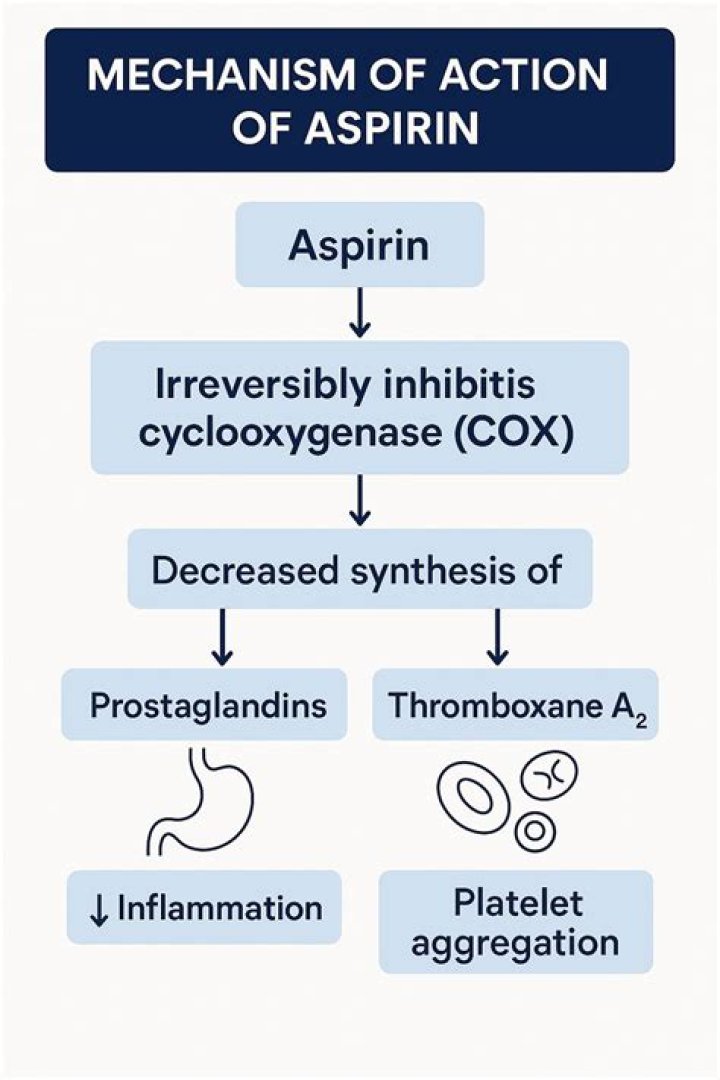 What is the mechanism of action of reserpine?