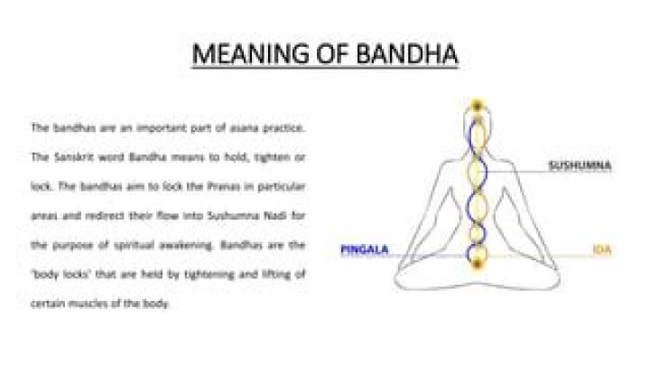 What is the purpose of the Bandhas?