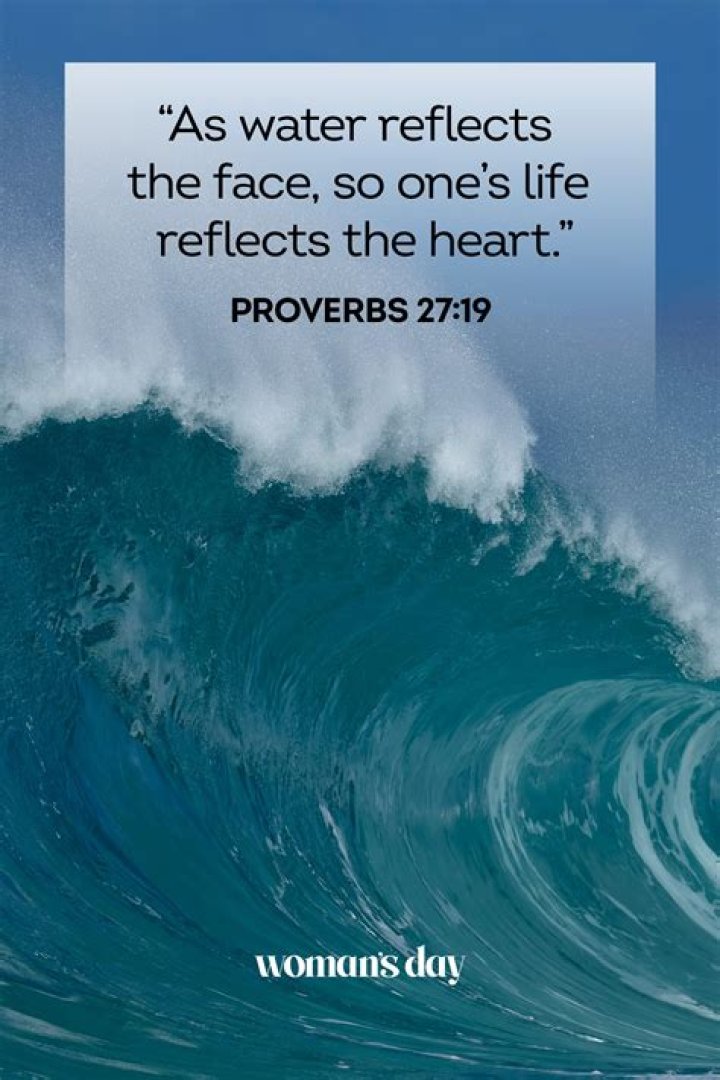 What is the purpose of the noscript tag?