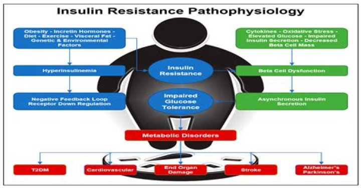 What is the solution to insulin resistance?