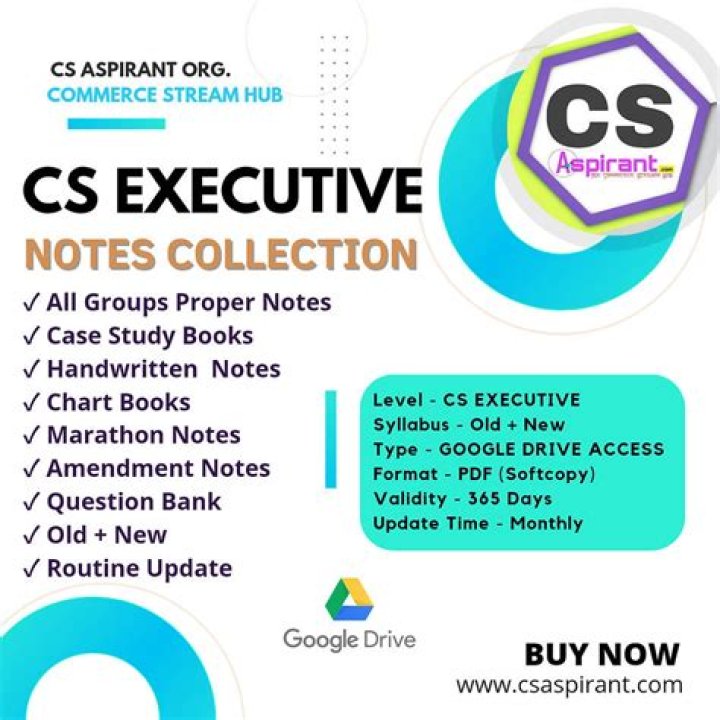 What is the subjects of CS executive?