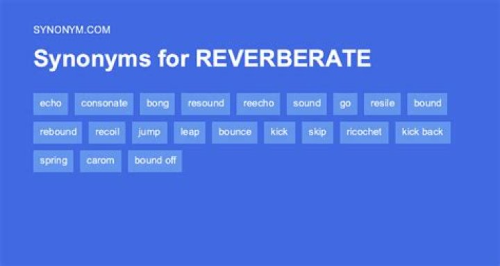 What is the synonym of reverberate?