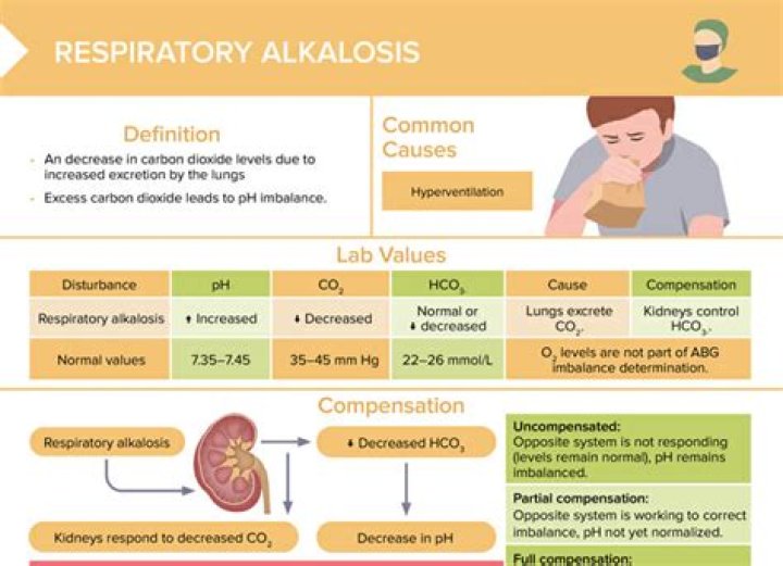 What is the treatment of respiratory alkalosis?