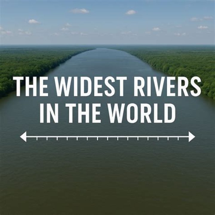 What is the widest human in the world?